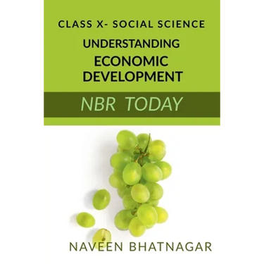Class X Understanding Economic Development