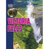 Victoria Falls
