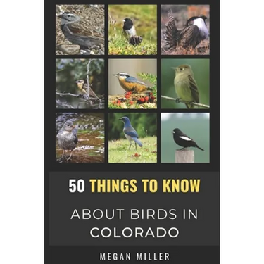 50 Things to Know About Birds in Colorado: Birding the Centennial State