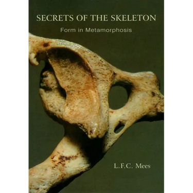 Secrets of the Skeleton: Form in Metamorphosis