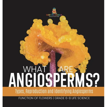 What are Angiosperms? Types, Reproduction and Identifying Angiosperms Function of Flowers Grade 6-8 Life Science