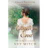 Chances End: A Pride & Prejudice Reimagining