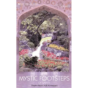 In the Mystic Footsteps of Saints, Vol. 2