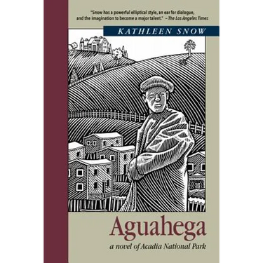 Aguahega: a novel of Acadia National Park