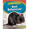 Rat Behavior