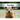 Quokka