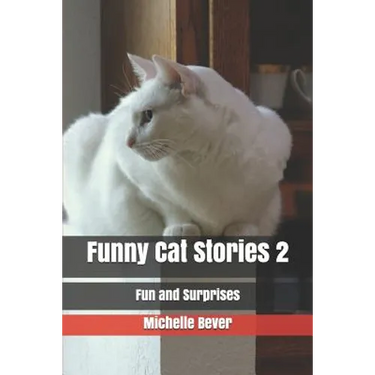 Funny Cat Stories 2: Fun and Surprises