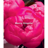 Ida Applebroog: Mercy Hospital