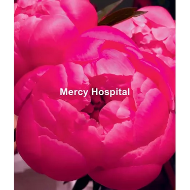 Ida Applebroog: Mercy Hospital