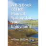 A Big Book of Hot Mineral Springs for Your Enjoyment