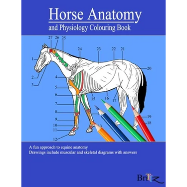 Horse Anatomy and Physiology Colouring Book: A Detailed Guide to Equine Anatomy with Answers Perfect Gift for Veterinary Students, Animal lovers, Adul