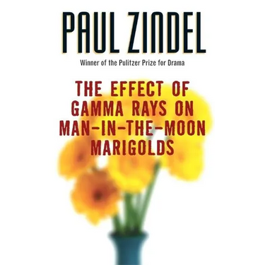The Effect of Gamma Rays on Man-In-The-Moon Marigolds