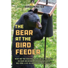 The Bear at the Bird Feeder
