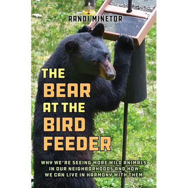 The Bear at the Bird Feeder
