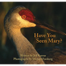 Have You Seen Mary?