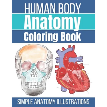 Human Body Anatomy Coloring Book: Anatomy and Physiology Coloring Workbook