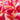 1bd25194-229d-4ec4-a89d-420b760d1dc4-Max