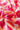 1bd25194-229d-4ec4-a89d-420b760d1dc4-Max