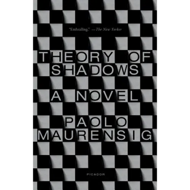 Theory of Shadows