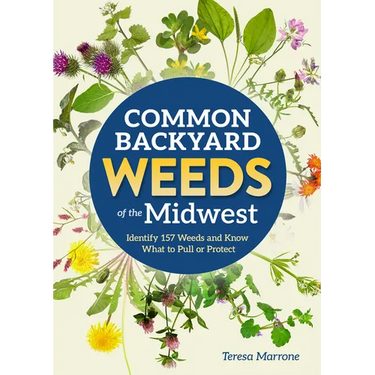 Common Backyard Weeds of the Midwest: Identify 157 Weeds and Know What to Pull or Protect