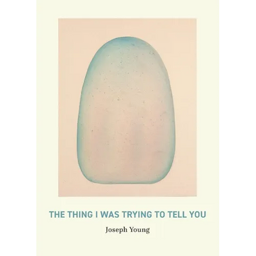 The Thing I Was Trying to Tell You