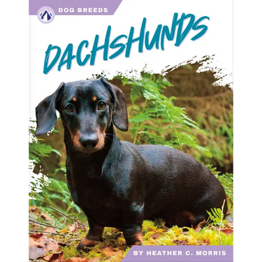 Dachshunds
