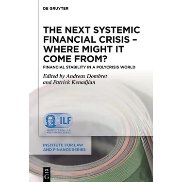 The Next Systemic Financial Crisis - Where Might It Come From?: Financial Stability in a Polycrisis World