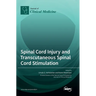 Spinal Cord Injury and Transcutaneous Spinal Cord Stimulation