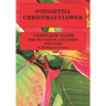 Poinsettia.Chistmas Flower: Complete guide for its choice, location and care
