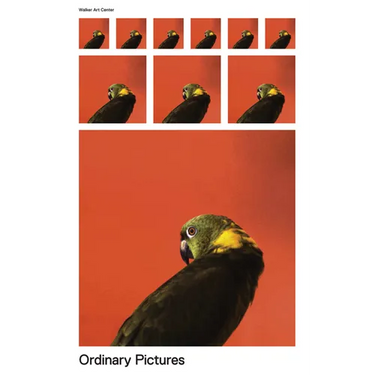Ordinary Pictures