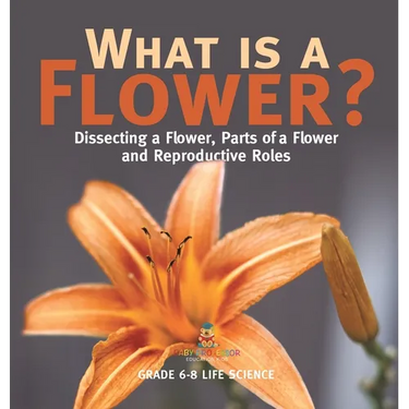 What is a Flower? Dissecting a Flower, Parts of a Flower and Reproductive Roles Grade 6-8 Life Science