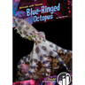 Blue-Ringed Octopus
