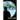 The Killing Moon