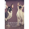 Cornish Rex: Cat Breed Complete Guide