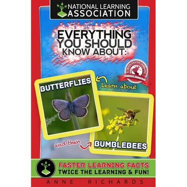 National learning Association Everything You Should Know About Butterflies and Bumble Bees Faster Learning Facts