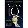 A Bird's IQ: Innovation, Intelligence, and Problem Solving in the Avian World