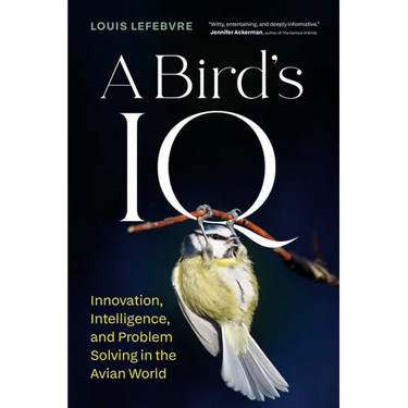A Bird's IQ: Innovation, Intelligence, and Problem Solving in the Avian World