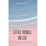 Little Things in Life