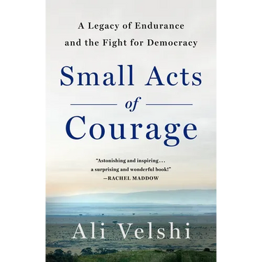 Small Acts of Courage: A Family's Legacy of Endurance and the Fight for Democracy