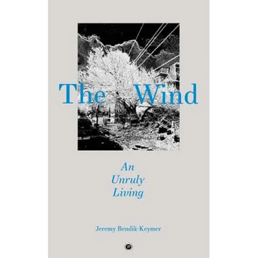 The Wind: An Unruly Living