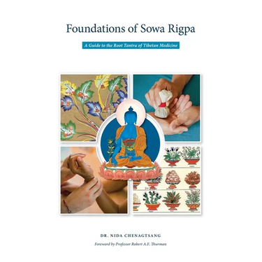 Foundations of Sowa Rigpa: A Guide to the Root Tantra of Tibetan Medicine