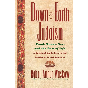 Down-To-Earth Judaism: Food, Money, Sex, and the Rest of Life
