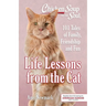 Chicken Soup for the Soul: Life Lessons from the Cat: 101 Tales of Family, Friendship and Fun