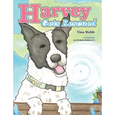 Harvey Gets Rescued