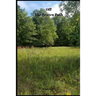 Off The Beaten Path: 4 year Blood Glucose Tracker