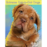 Extreme Dot-to-Dot Dogs Puzzles for Adults from 356 to 870 Dots