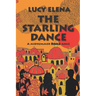 The Starling Dance: a riotous, heartwarming summer romance set in Rome