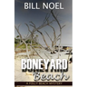 Boneyard Beach: A Folly Beach Mystery