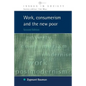 Work, Consumerism and the New Poor