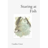Staring at Fish